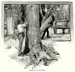 Barking Gum-Trees (gravering) av English School