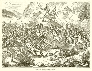 Slaget ved Busaco, 1810