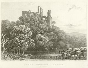 Berry Pomeroy Castle, Devonshire (gravering) av English School