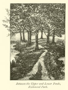 Mellom øvre og nedre dammene, Richmond Park av English School