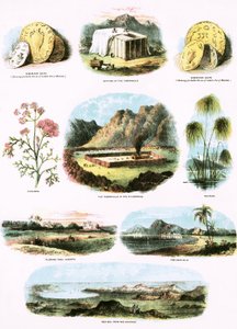 Bibelske illustrasjoner av English School