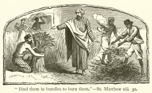 "Bind dem i bunter for å brenne dem", St Matthew, xiii, 30 (gravering) av English School