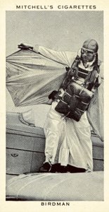 Birdman (litho) av English School