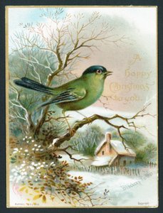 Blackcap Warbler, julekort av English School