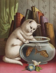 Blanchie and the Goldfish (chromolitho) av English School