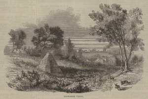 Bosworth Field av English School