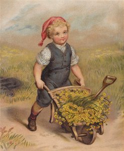 Gutt som skyver en trillebår full av blomster (chromolitho) av English School