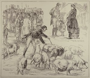 Boikott i Irland, fra The Illustrated London News, 4. oktober 1886