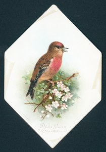 Brambling, nyttårskort av English School
