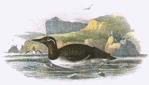 Lomvi med tøyle av English School