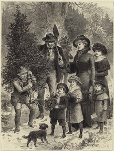 Får med juletreet hjem
