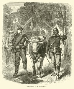 Innbringing av en fange, september 1870 av English School