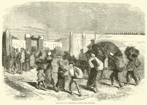 Innføring av grønnsaker fra forstedene, oktober 1870 av English School
