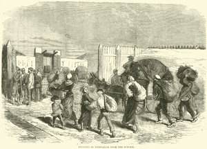 Innføring av grønnsaker fra forstedene, oktober 1870 av English School