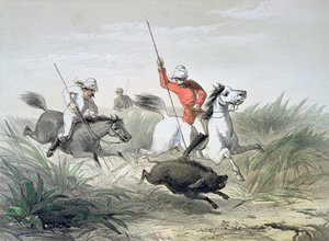 Britiske hæroffiserer jakter på villgris i India av English School