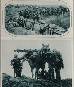 Britiske skyttere med pakkehester, Flandern, august 1917 av English School
