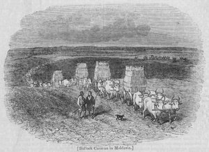 Bullock Caravan i Moldavia av English School