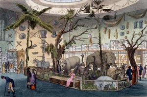Bullocks Museum, 22 Piccadilly, London, fra Ackermanns Repository of Arts, 1809 av English School