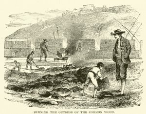 Das Verbrennen des äußeren Teils des gewöhnlichen Holzes von English School