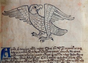 CCA-LitMs/D/10 fol. 13r Eagle, fra Bestiary av English School
