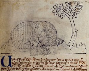 CCA-LitMs/D/10 fol. 3r Bear, fra Bestiary av English School