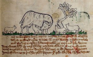 CCA-LitMs/D/10 fol. 8r Sau, fra Bestiary av English School