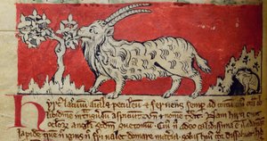 CCA-LitMs/D/10 fol. 8v Geit, fra Bestiary av English School