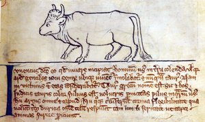 CCA-LitMs/D/10 fol. 9r Bullock, fra Bestiary av English School