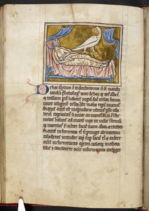 Caladrius-fugl - Bestiarium, Royal MS 12 C XIX, f.47v av English School