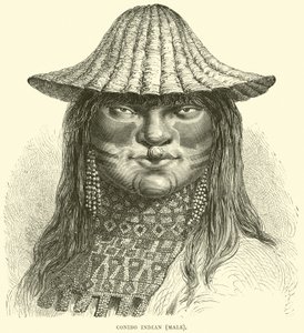 Canibo Indian, hann av English School