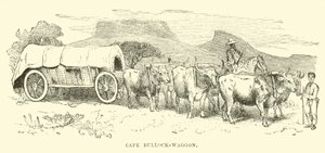 Cape Bullock-vogn