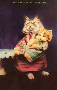 Katze und Kätzchen von English School