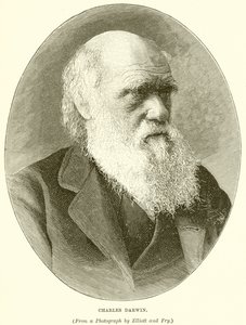 Charles Darwin av English School
