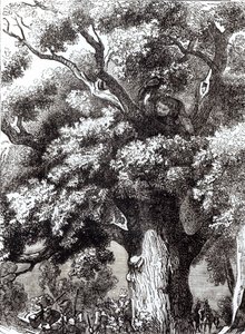 Charles II (1630-85) Skjult i eiketreet, 14. oktober 1651 av English School