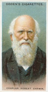 Charles Robert Darwin av English School