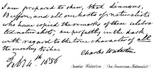 Charles Waterton (den amerikanske naturforskeren) av English School