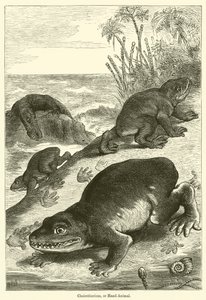 Cheirotherium, eller hånddyr (gravering) av English School