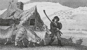 Cheviot Shepherds (gravering) av English School