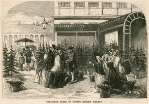 Juletrær i Covent Garden Market, London av English School