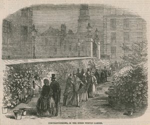 Krysantemum i de indre tempelhagene av English School