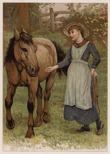 Smart Dobbin (kromolitho) av English School