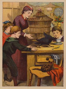 Kluge Tricks von English School