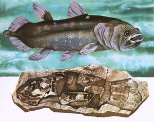 Coelacanth og dens fossil av English School
