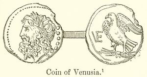 Mynt av Venusia av English School