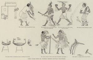 Tegneseriefrise fra Mr Flinders Petries egyptiske oppdagelser (gravering) av English School
