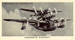 Sammensatt fly (litho) av English School