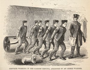 Domfelte som jobber i hageområdet, deltatt av en væpnet vaktmester, illustrasjon fra The Criminal Prisons of London og Scenes from Prison Life av Henry Mayhew og John Binny, pub. 1862 av English School
