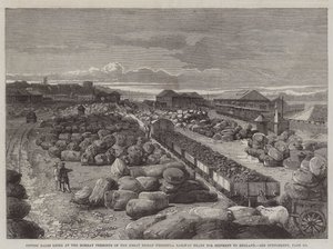 Bomullsballer liggende ved Bombay Terminus of the Great Indian Peninsula Railway klare for forsendelse til England (gravering) av English School