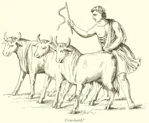 Ku-Herd av English School