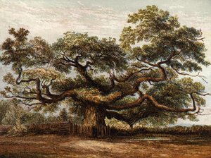 Crouch Oak, Addlestone av English School